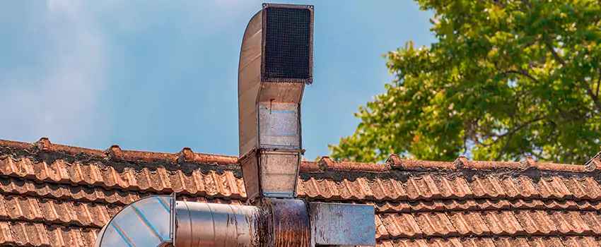 Chimney Blockage Removal in Audubon Park, Minnesota