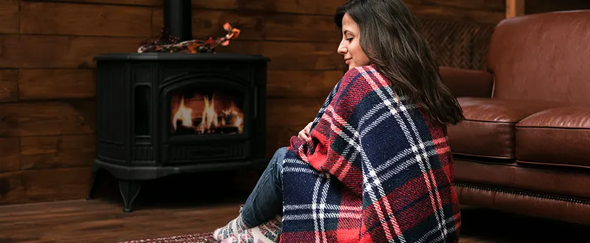 Fireplace Firebox Grate Replacement Services  in Audubon Park, Minnesota