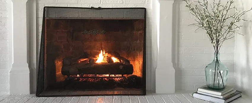 Cost-Effective Fireplace Mantel Inspection And Maintenance in Audubon Park, MN