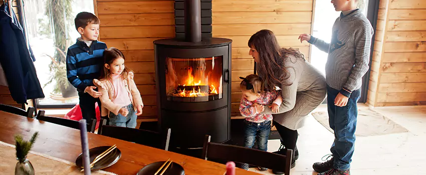 Jøtul Gas Fireplace Inspection Service in Audubon Park, Minnesota