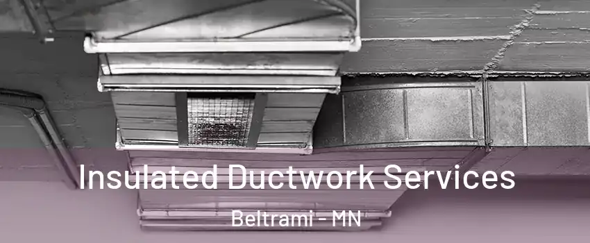 Insulated Ductwork Services Beltrami - MN