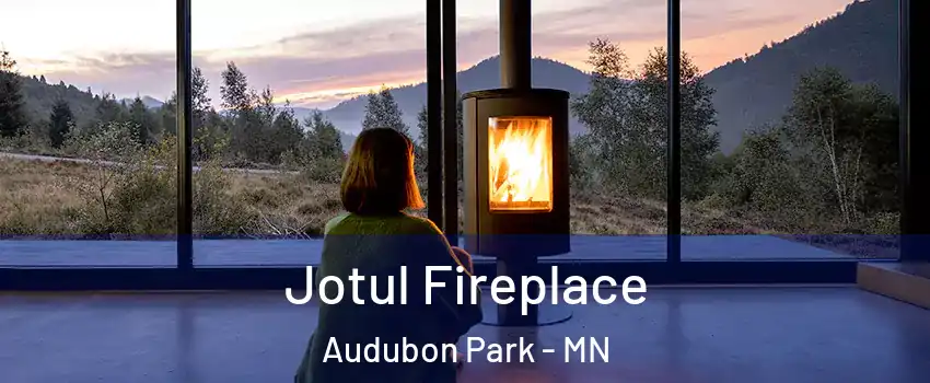 Jotul Fireplace Audubon Park - MN