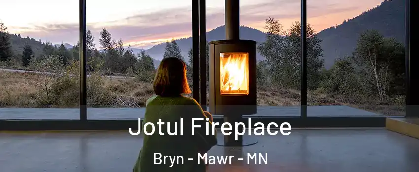 Jotul Fireplace Bryn - Mawr - MN