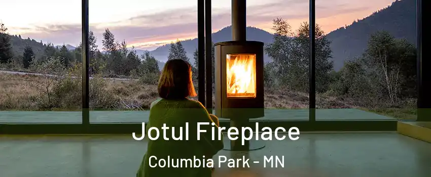 Jotul Fireplace Columbia Park - MN