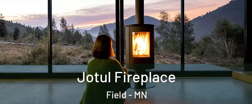 Jotul Fireplace Field - MN