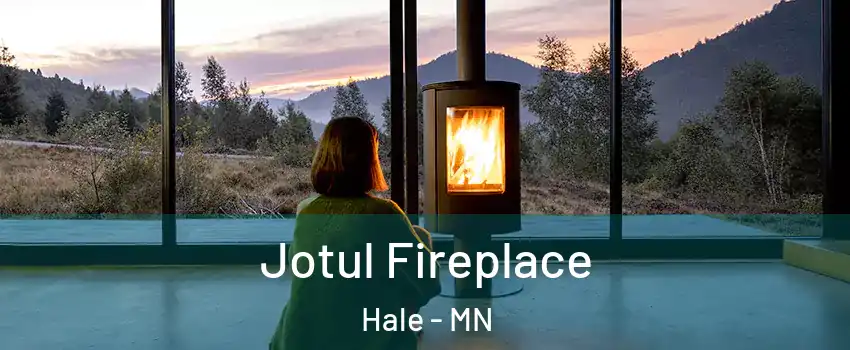 Jotul Fireplace Hale - MN