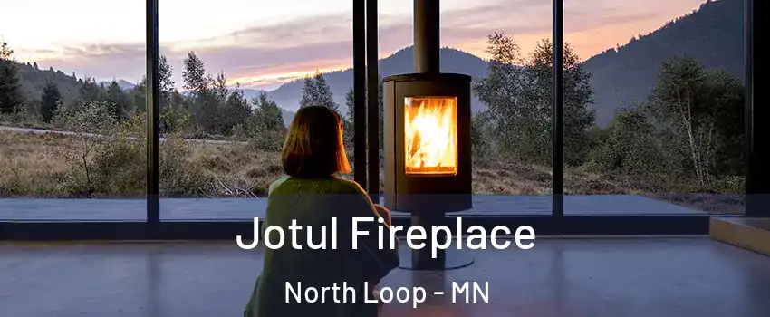 Jotul Fireplace North Loop - MN