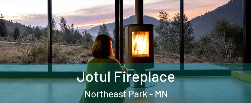 Jotul Fireplace Northeast Park - MN