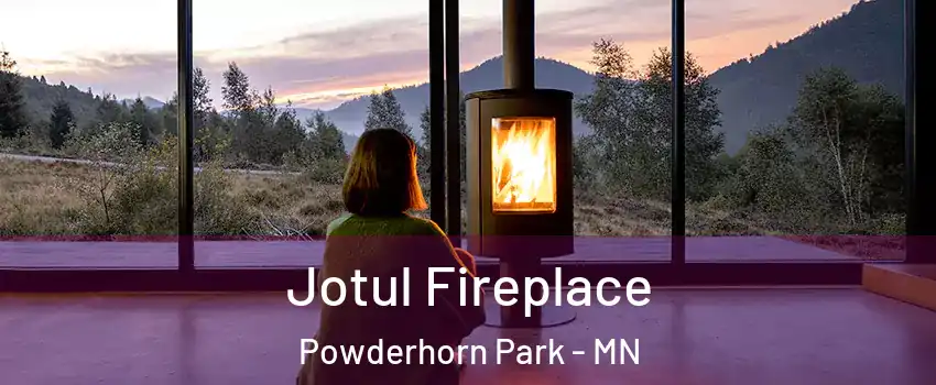 Jotul Fireplace Powderhorn Park - MN