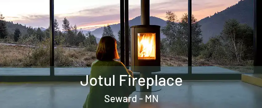 Jotul Fireplace Seward - MN