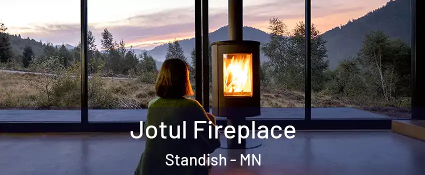 Jotul Fireplace Standish - MN