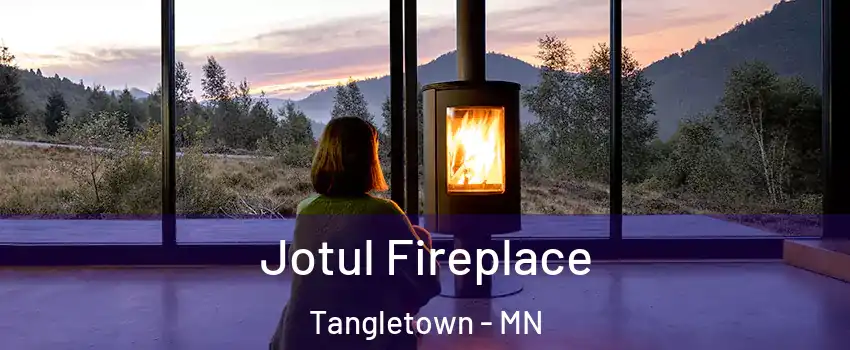 Jotul Fireplace Tangletown - MN