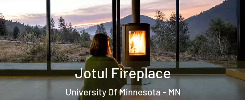 Jotul Fireplace University Of Minnesota - MN