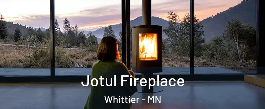 Jotul Fireplace Whittier - MN