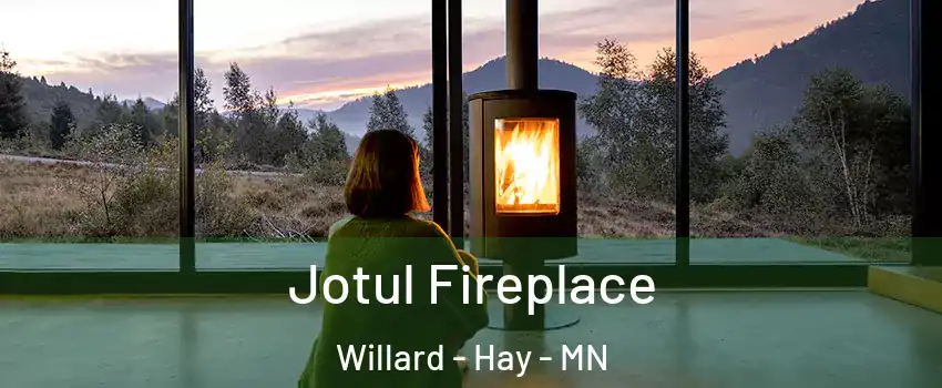 Jotul Fireplace Willard - Hay - MN