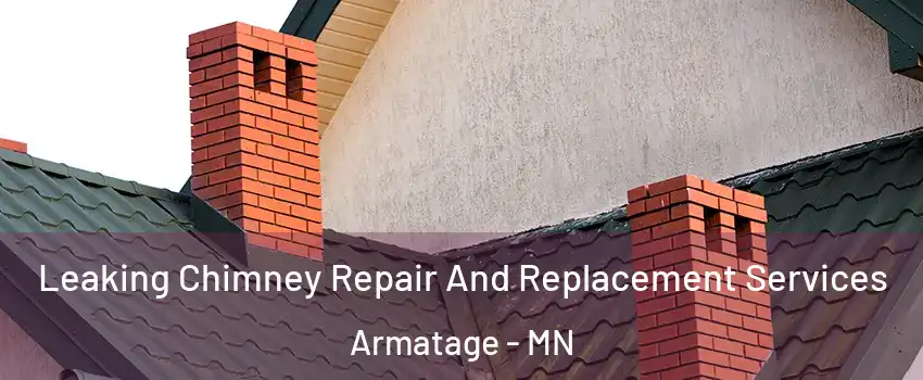 Leaking Chimney Repair And Replacement Services Armatage - MN