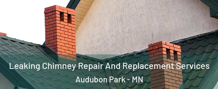 Leaking Chimney Repair And Replacement Services Audubon Park - MN