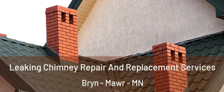Leaking Chimney Repair And Replacement Services Bryn - Mawr - MN