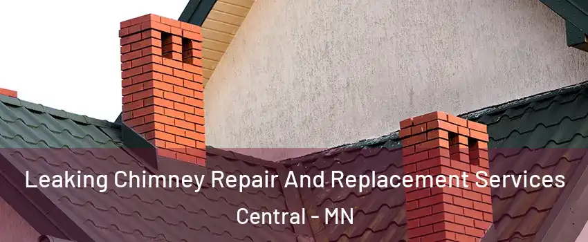 Leaking Chimney Repair And Replacement Services Central - MN
