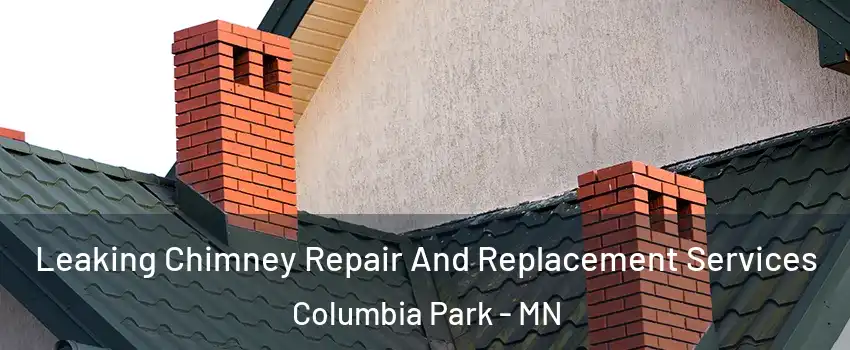 Leaking Chimney Repair And Replacement Services Columbia Park - MN