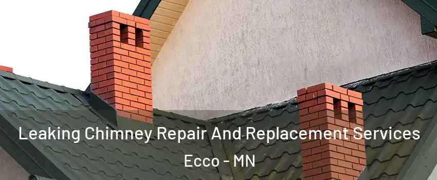 Leaking Chimney Repair And Replacement Services Ecco - MN