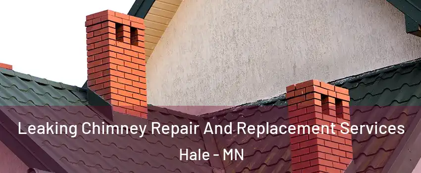 Leaking Chimney Repair And Replacement Services Hale - MN