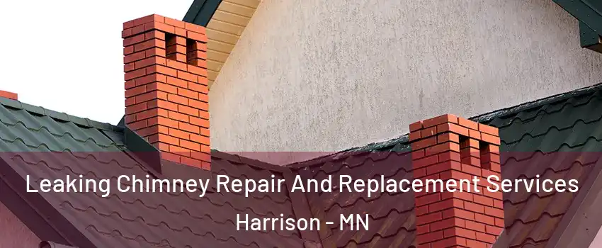 Leaking Chimney Repair And Replacement Services Harrison - MN