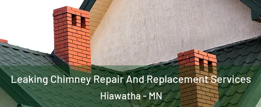 Leaking Chimney Repair And Replacement Services Hiawatha - MN