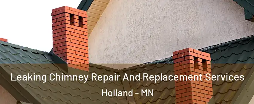 Leaking Chimney Repair And Replacement Services Holland - MN