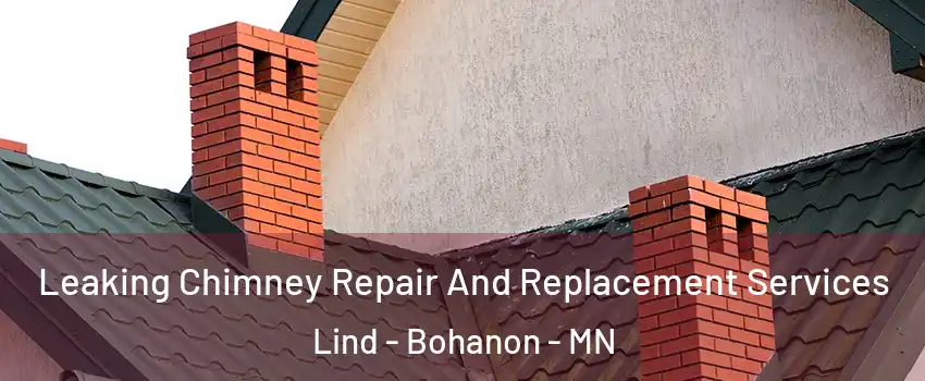 Leaking Chimney Repair And Replacement Services Lind - Bohanon - MN
