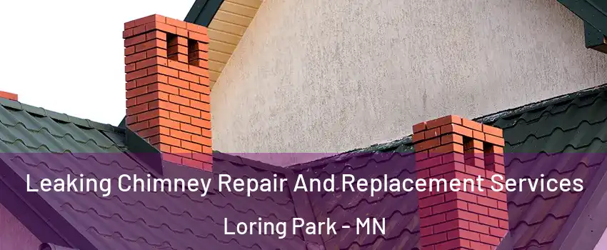 Leaking Chimney Repair And Replacement Services Loring Park - MN