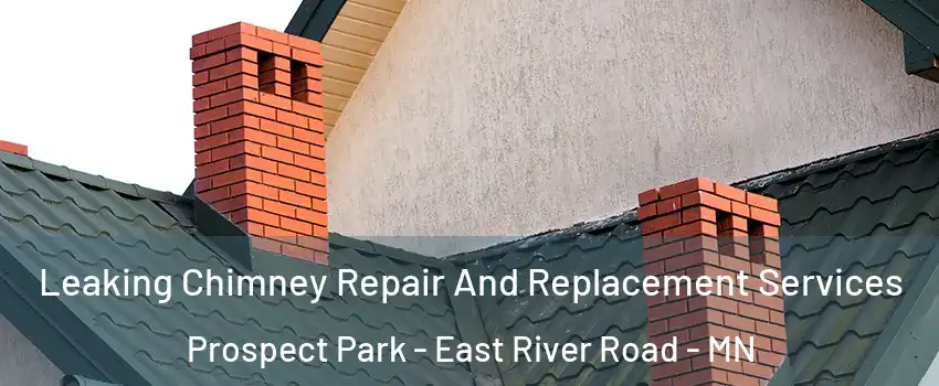 Leaking Chimney Repair And Replacement Services Prospect Park - East River Road - MN