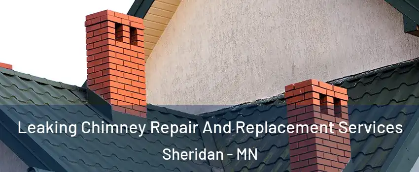 Leaking Chimney Repair And Replacement Services Sheridan - MN