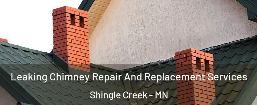 Leaking Chimney Repair And Replacement Services Shingle Creek - MN