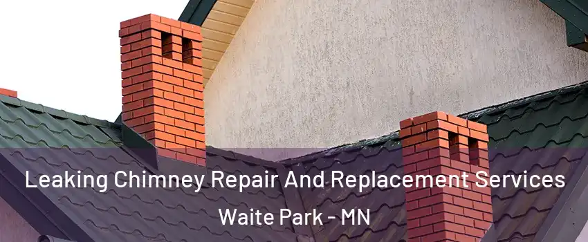Leaking Chimney Repair And Replacement Services Waite Park - MN