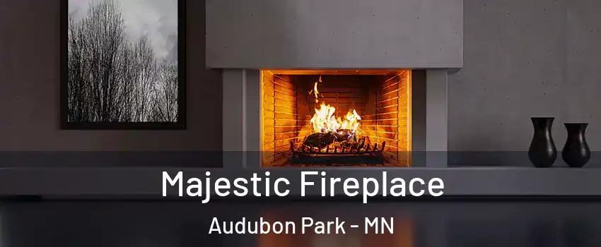 Majestic Fireplace Audubon Park - MN
