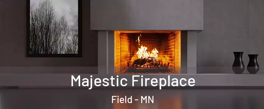 Majestic Fireplace Field - MN