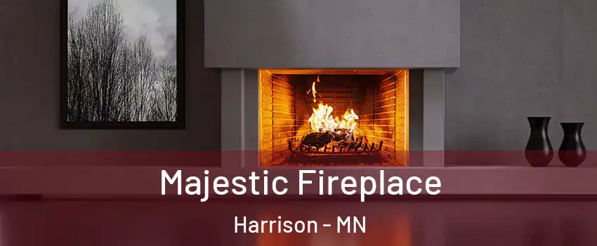 Majestic Fireplace Harrison - MN