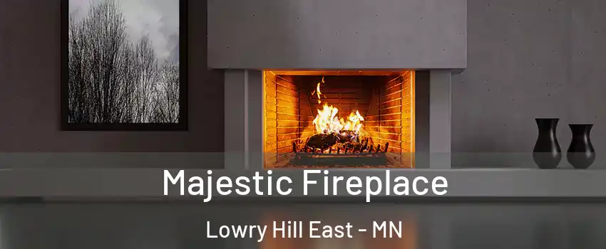 Majestic Fireplace Lowry Hill East - MN