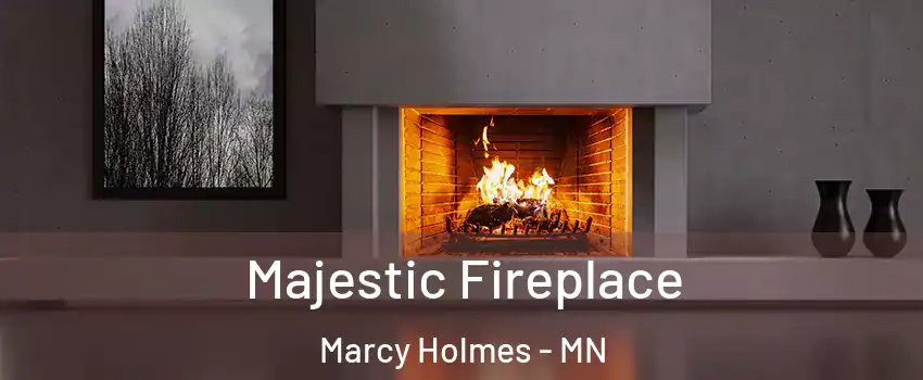 Majestic Fireplace Marcy Holmes - MN