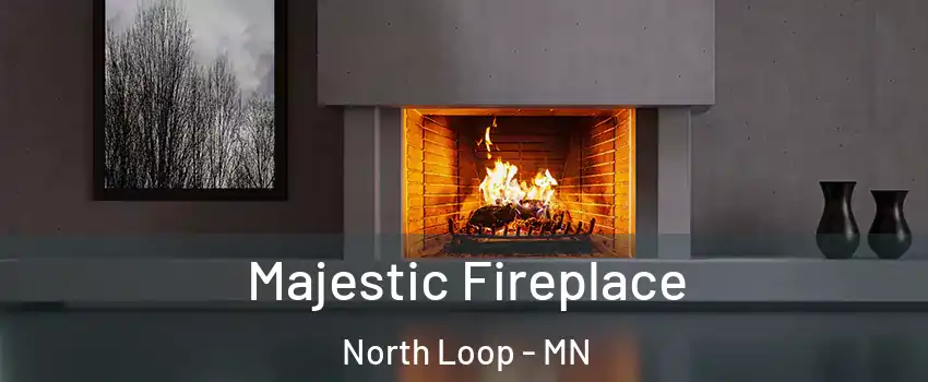 Majestic Fireplace North Loop - MN