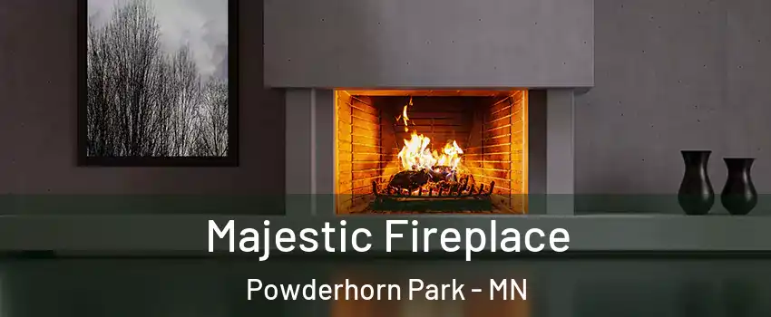 Majestic Fireplace Powderhorn Park - MN