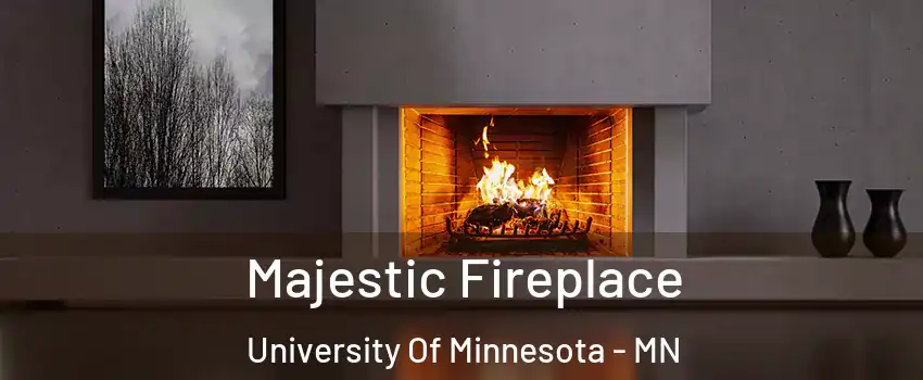 Majestic Fireplace University Of Minnesota - MN
