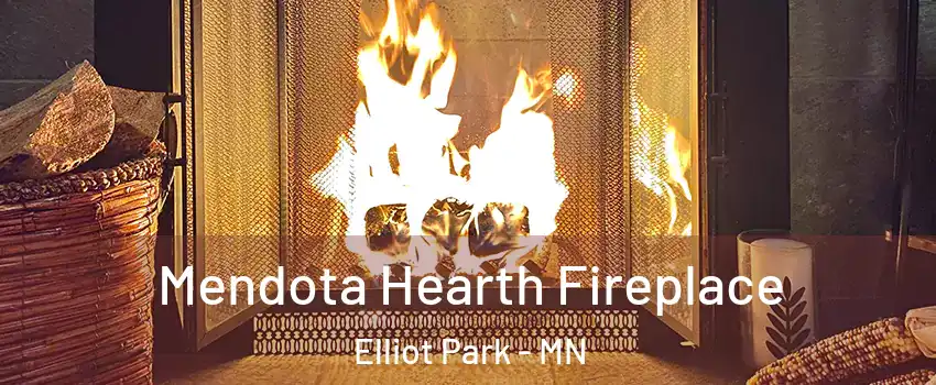 Mendota Hearth Fireplace Elliot Park - MN