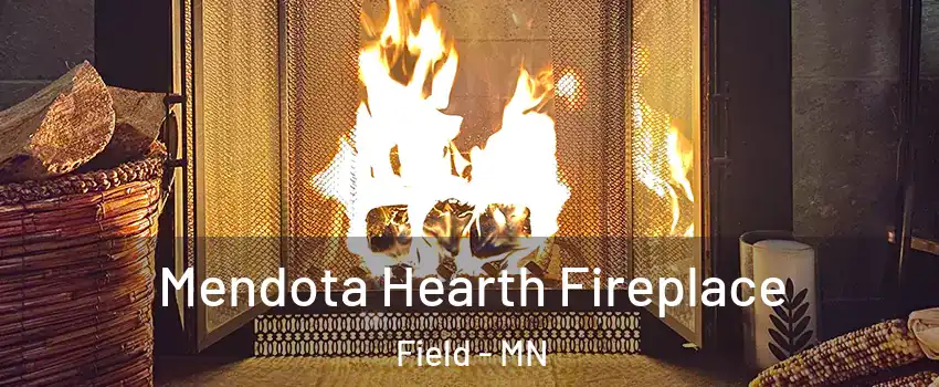 Mendota Hearth Fireplace Field - MN