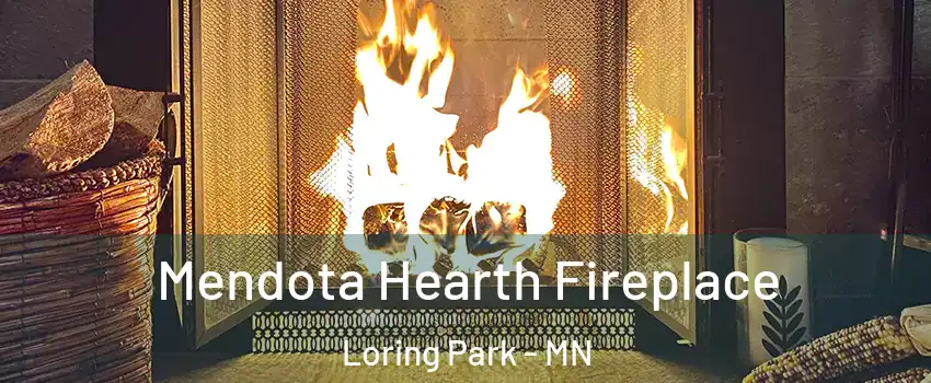 Mendota Hearth Fireplace Loring Park - MN
