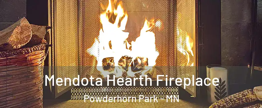 Mendota Hearth Fireplace Powderhorn Park - MN