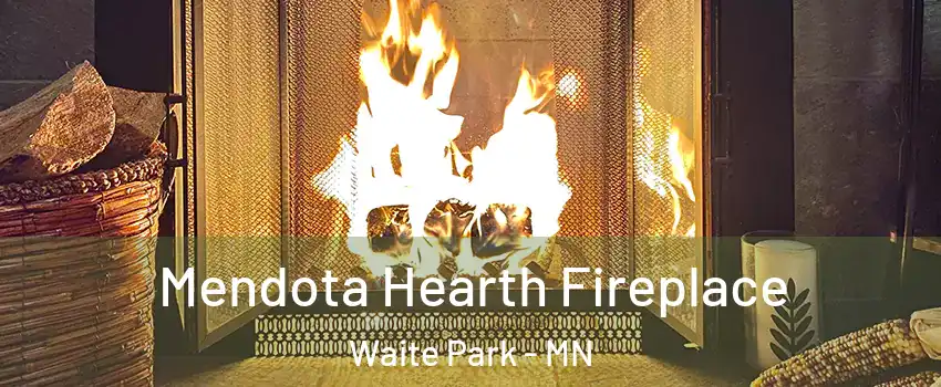 Mendota Hearth Fireplace Waite Park - MN