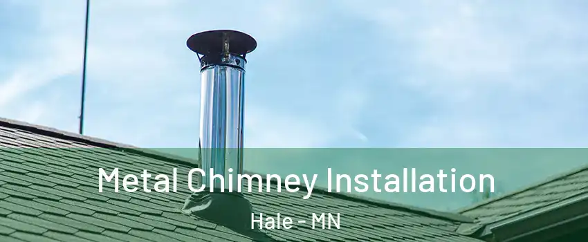 Metal Chimney Installation Hale - MN
