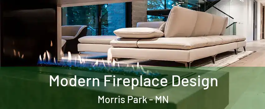 Modern Fireplace Design Morris Park - MN